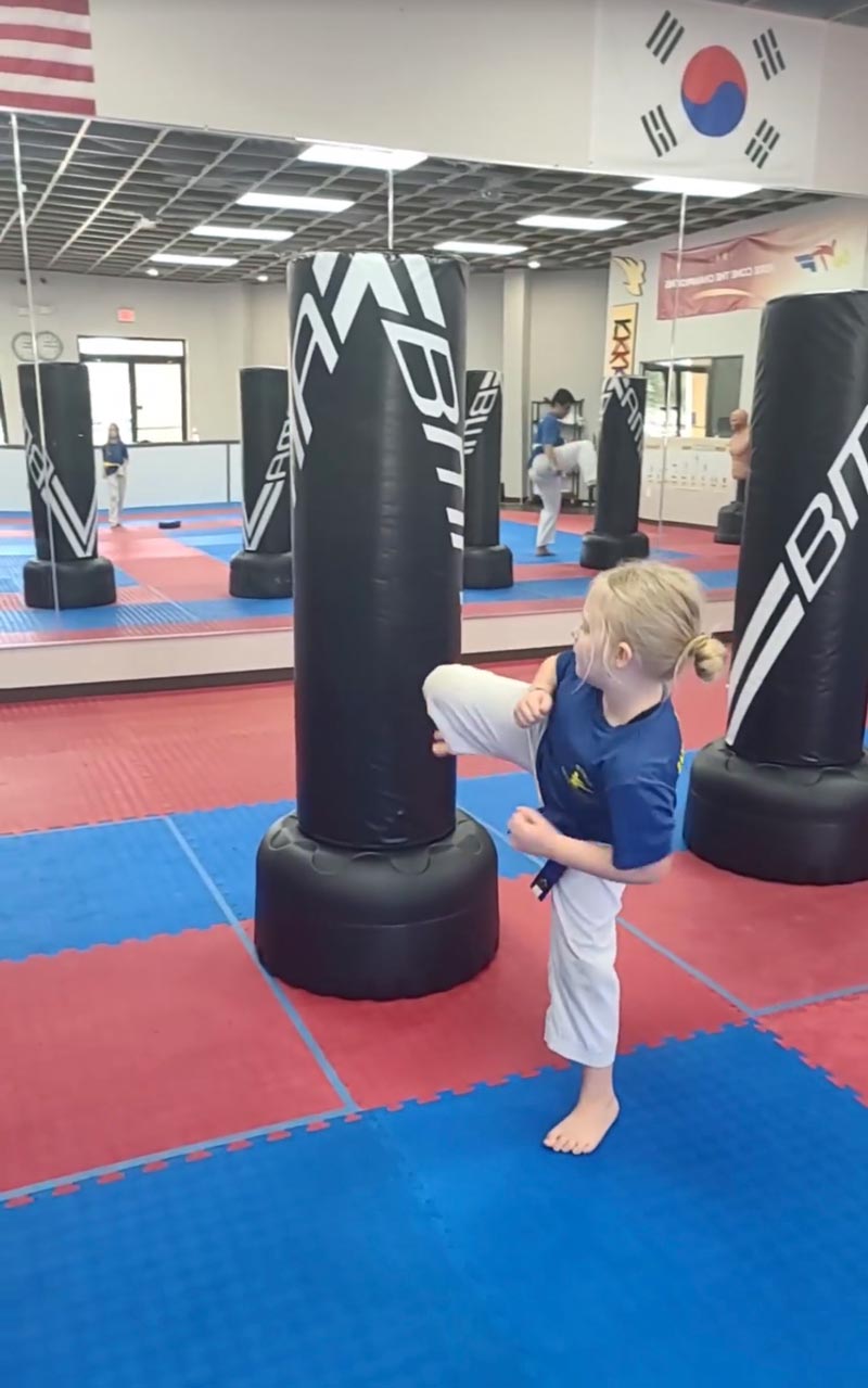martial-arts-girl-kicking
